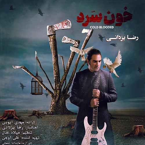 آهنگ جدید رضا یزدانی به نام خونسرد